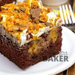 Perfect for chocolate lovers and Butterfinger lovers alike! This poke cake not only has crushed Butterfingers on top, the cake itself is a copycat of the candy bar!